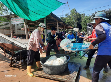 ติดตามการรวบรวมยางพารากลุ่มเกษตรกรทำสวนยางพารานาเมือง พารามิเตอร์รูปภาพ 6